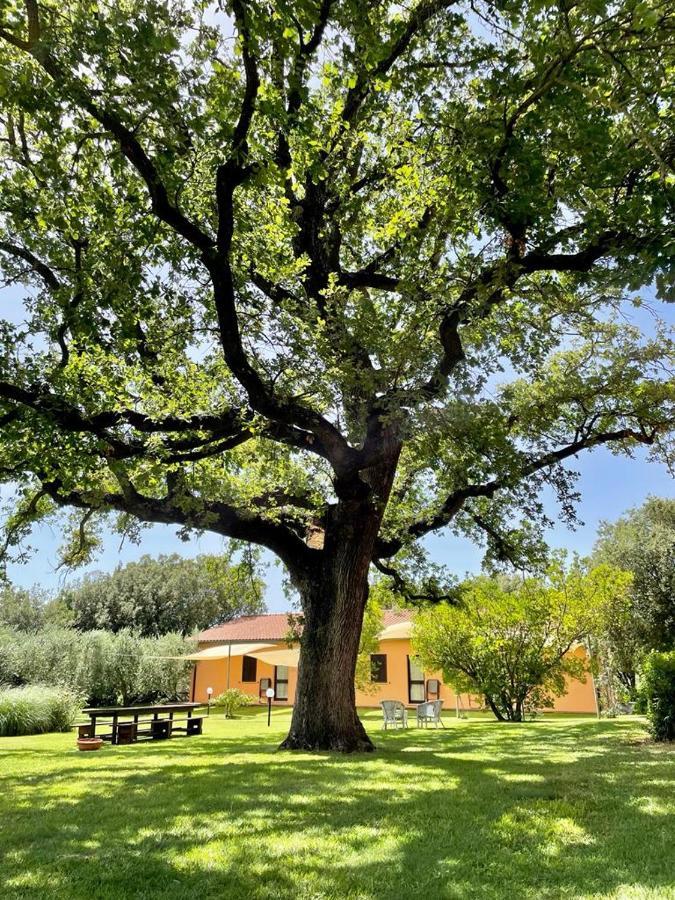 Agriturismo I Tre Fossi 마글리아노 인 토스카나 외부 사진