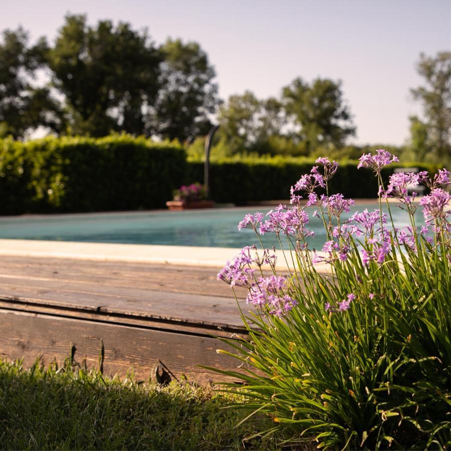 Agriturismo I Tre Fossi 마글리아노 인 토스카나 외부 사진